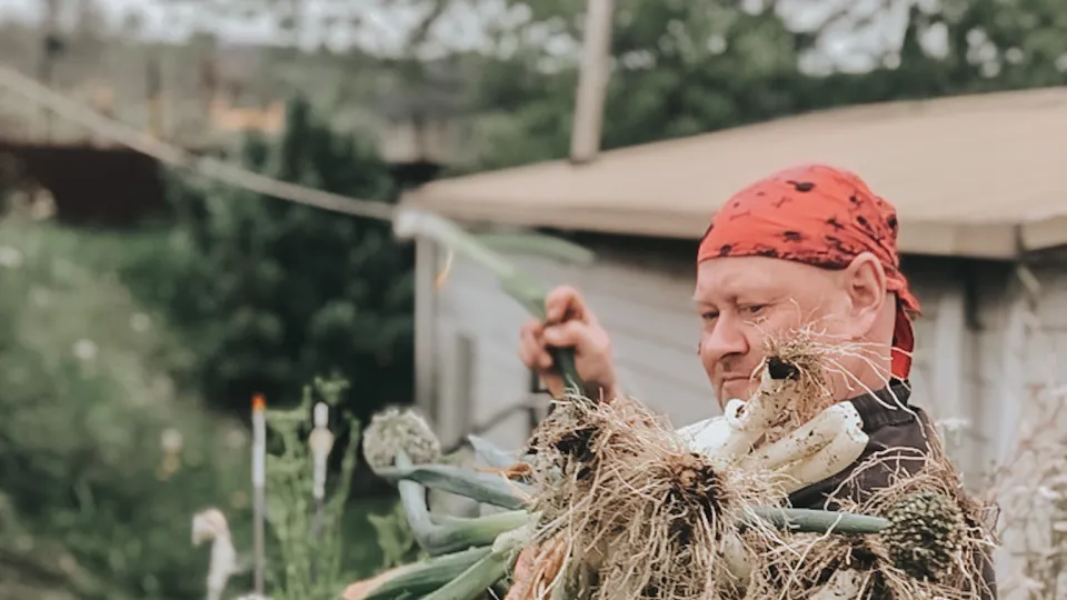 Brendon Harris garden to table